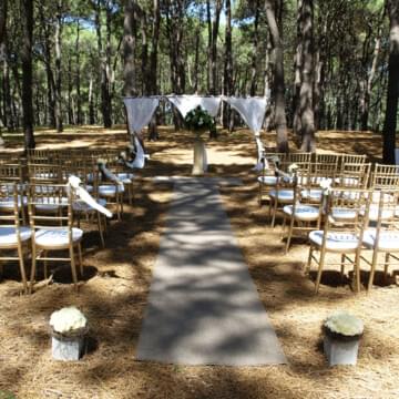 gold tiffany chairs wedding ceremony by event marquees | © event marquees