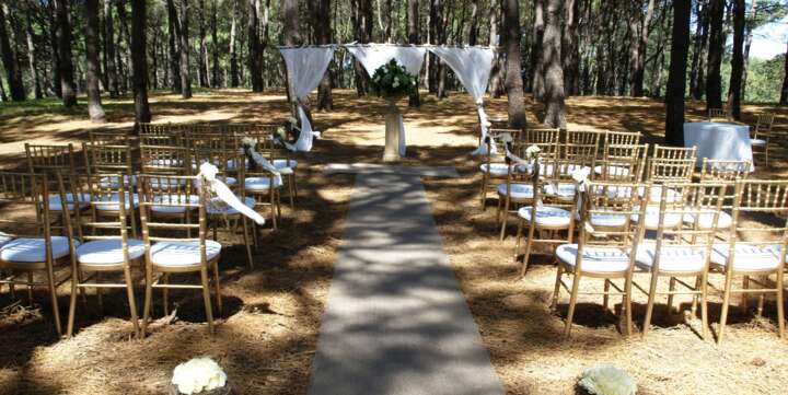 tiffany chair hire sydney gold coast brisbane