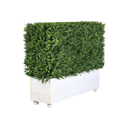 Artificial Hedge Hire by Event Marquees | © Event Marquees