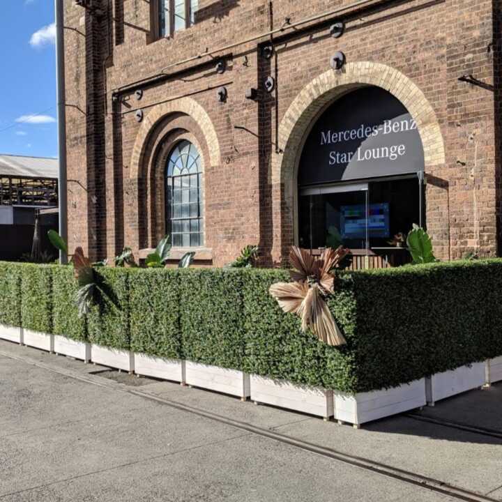 Artificial Hedge Hire by Event Marquees | © Event Marquees
