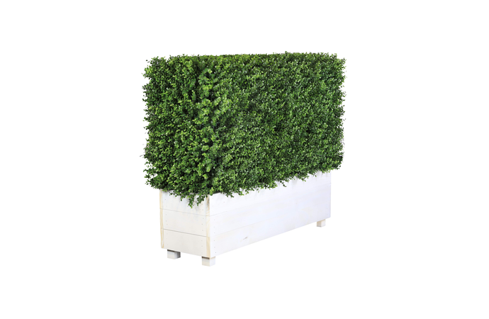 Artificial Hedge Hire by Event Marquees | © Event Marquees