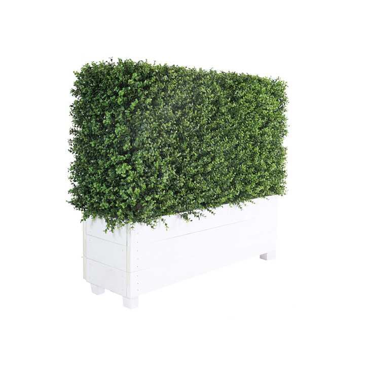 Artificial Hedge Hire by Event Marquees | © Event Marquees