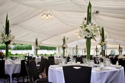 the reception
