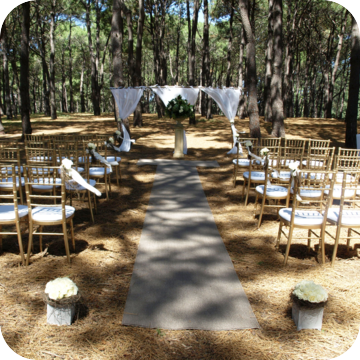 gold tiffany chairs wedding ceremony by event marquees | © event marquees