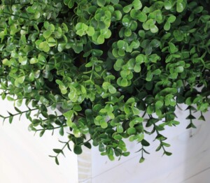 Artificial Hedge for Sale