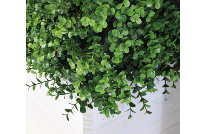 Artificial Hedge Hire by Event Marquees | © Event Marquees