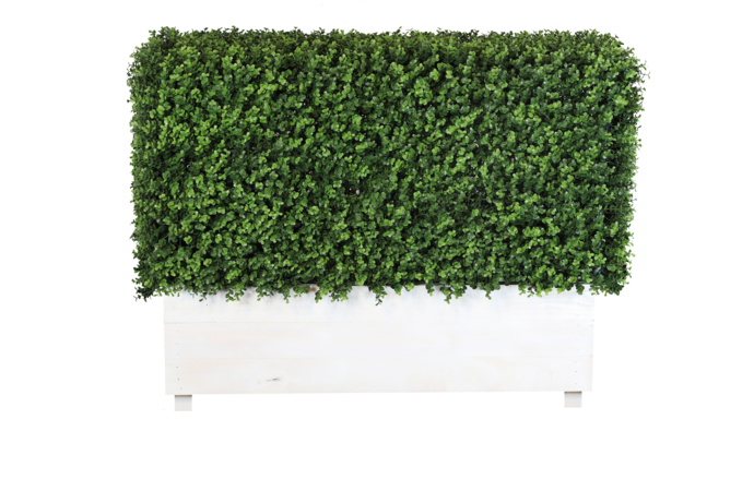 Artificial Hedge Hire by Event Marquees | © Event Marquees