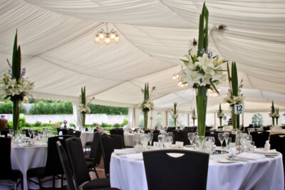 the reception