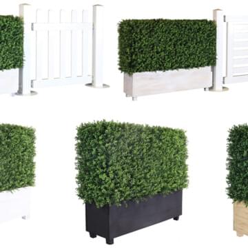 Artificial Hedge for Sale by Event Marquees | © Event Marquees | © Event Marquees