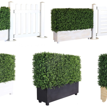 Artificial Hedge for Sale by Event Marquees | © Event Marquees